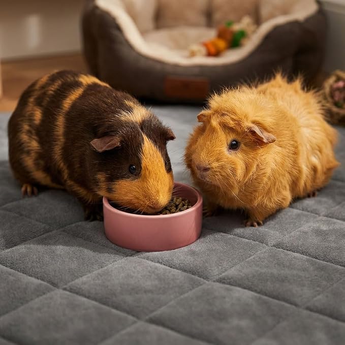 Guinea Pig Bedding, 2 Pack 59x31IN Thickened Fleece Cage Liner, Super Absorbent & Odor Control & Washable & Reusable Guinea Pig Liner for C&C 2X4 Cage, Pee Pad Mat for Small Animal, Rabbit, Bunny - Image 6