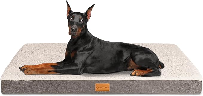 Patas Lague Orthopedic Large Dog Bed Washable Pet Sofa Mat 56''X40'' Ivory | Egg-Crate Foam Dog Couch For Large Sized Dogs, Waterproof Removable Cover, Soft Pet Crate Bed With Nonskid Bottom by PatasLague