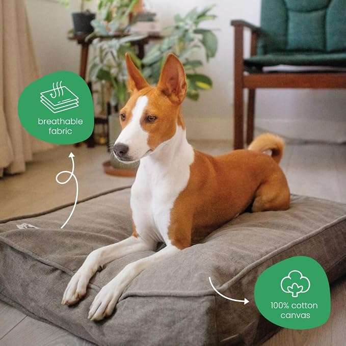 Molly Mutt Jupiter Dog Bed Duvet Cover, GOTS-Certified 100% Cotton Canvas Cover for Dog, Puppy, or Cat Bed, Durable, Washable, and Free of Harmful Chemicals, Small, 22"x27"x5", Brown - Image 4