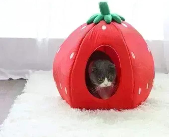 YML Strawberry Pet Bed House for Cats, Dogs, Kittens, Puppies, Rabbits, Medium, Red - Image 3