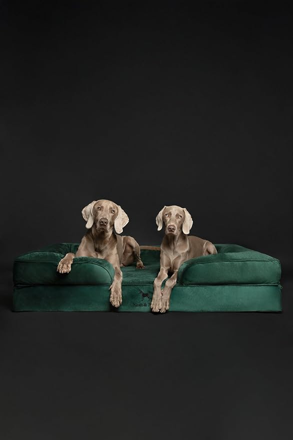 NOAH & PAW Giant Dog Bed XXL, 55x45x11 Inch, Orthopedic Dog Beds, Eggshell Memory Foam Infused with Cooling Gel, Inner Cover, Water Resistant, Machine Washable (Velvet Sofa Collection) - Image 6