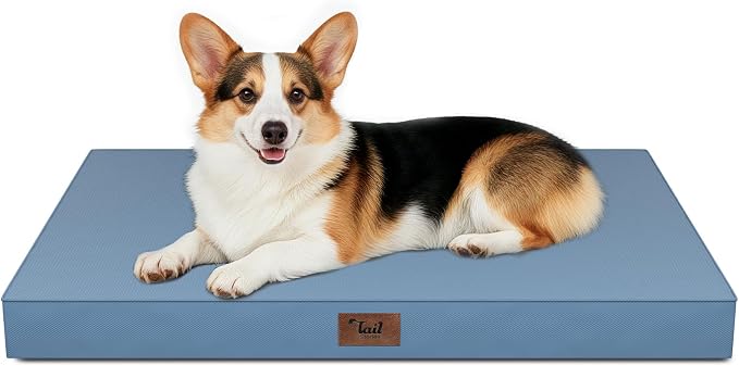 Outdoor Waterproof Orthopedic Dog Bed for Large Dogs | Egg Crate Foam for Joint Support, TPU Waterproof Layer, Machine Washable 1680D Oxford Cover, 36 x 27 Inch, Up to 65 lbs by TailStories