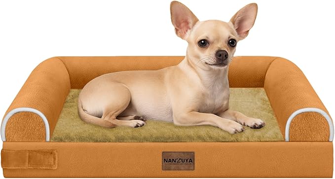 NANUYA Orthopedic Dog Bed for Small Dogs, 24 x 16 Inch, Orange | Egg crate foam for joint support, 3-sided bolster pet sofa, waterproof lining, washable cover, and non-skid base by Nanuya