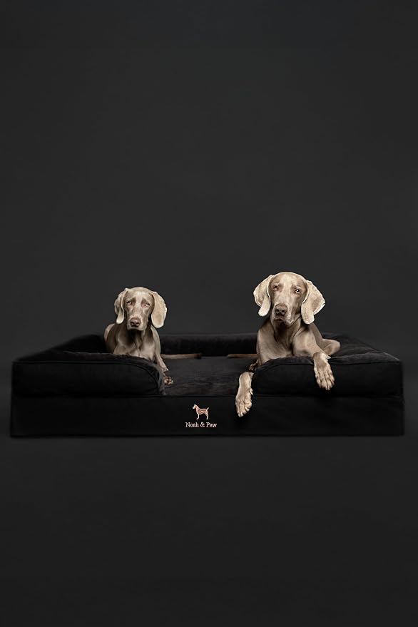 NOAH & PAW XL Dog Bed, 45x35x11 Inch, Orthopedic Large Dog Beds, Eggshell Memory Foam Infused with Cooling Gel, Inner Cover, Water Resistant, Machine Washable (Denim Sofa Collection) - Image 7