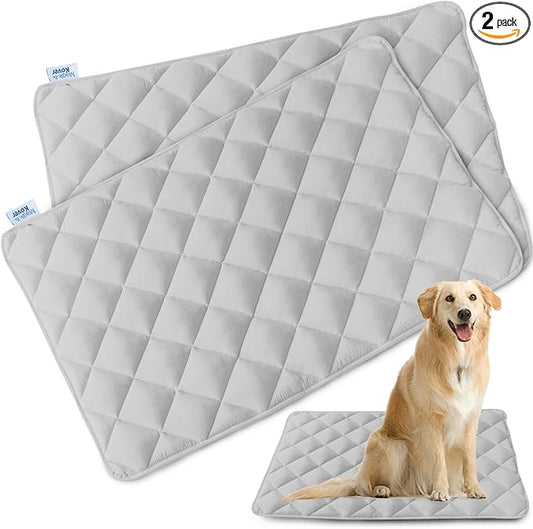 Dog Crate Pad 2 Pack, Soft Dog Crate Mat with Anti-Slip Bottom, Grey | Fits 24 Inch Crate, Machine Washable, Kennel Pad, 24” x 18” by Magik+%26+Kover