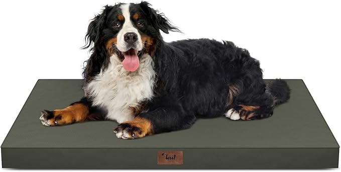 Outdoor Extra Large Dog Bed XXL for Giant Breed Dogs | Egg Crate Orthopedic Foam, Fits 48x30 Crates, TPU Waterproof Layer, Machine Washable 1680D Oxford Cover, Up to 110 lbs by TailStories