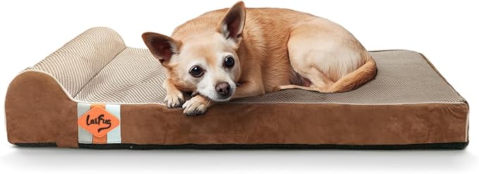 Laifug Orthopedic Dog Beds for Large Dogs,3" Memory Foam Dog Beds,Durable Water Proof Liner Removable and Washable, Nonskid Bottom, Brown 34"x22"x5.5" by Laifug