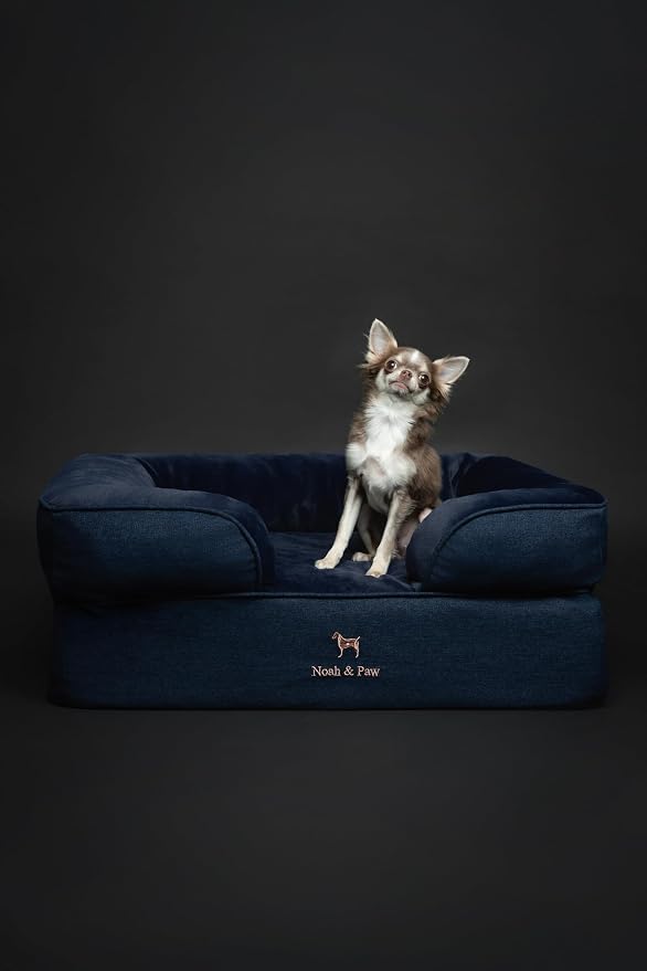 NOAH & PAW Dog Bed, 28x23x11 Inch, Orthopedic Dog Beds for Medium Size Pets, Eggshell Memory Foam Infused with Cooling Gel, Inner Cover, Water Resistant, Machine Washable (Denim Sofa Collection) - Image 3