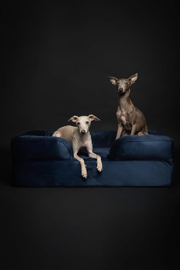 NOAH & PAW Large Dog Bed, 35x25x11 Inch, Orthopedic Dog Beds, Eggshell Memory Foam Infused with Cooling Gel, Inner Cover, Water Resistant, Machine Washable (Velvet Sofa Collection) - Image 7