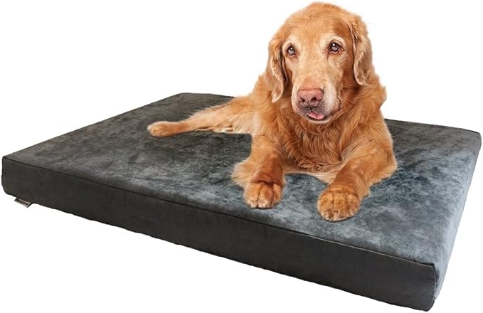 Dogbed4less XXL Orthopedic Gel Infused Cooling Memory Foam Dog Bed for Large Pet, Waterproof Liner, Micro Suede Gray Cover, 55X37X4 Inch by Dogbed4less