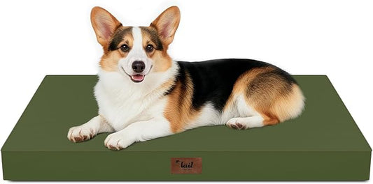 Outdoor Waterproof Orthopedic Dog Bed for Large Dogs | Egg Crate Foam for Joint Support, TPU Waterproof Layer, Machine Washable 1680D Oxford Cover, 36 x 27 Inch, Up to 65 lbs by TailStories