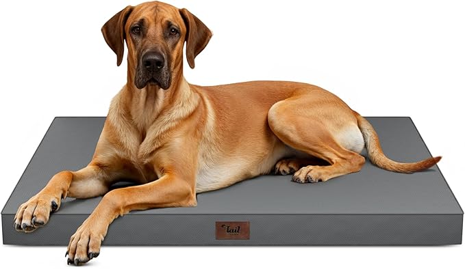 Jumbo Waterproof Orthopedic Dog Bed for Extra Large Dogs | Egg Crate Foam, Pressure Relief, Fits 54x37 Crates, Machine Washable 1680D Oxford Cover, Indoor & Outdoor Use, Up to 150 lbs by TailStories