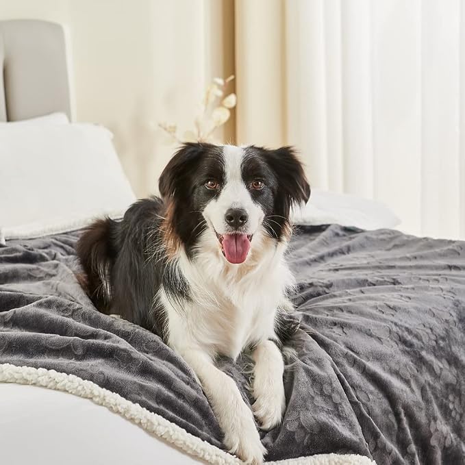 Qeils Dog Blankets for Large Dogs - Waterproof Cat Blanket Washable - Sherpa Fleece Puppy Blanket, Soft Plush Reversible Throw Protector for Bed Couch Car Sofa, 60"X80", Dark Grey - Image 3