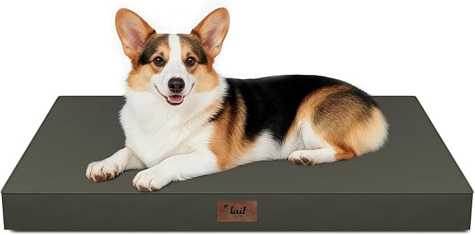 Outdoor Waterproof Orthopedic Dog Bed for Large Dogs | Egg Crate Foam for Joint Support, TPU Waterproof Layer, Machine Washable 1680D Oxford Cover, 36 x 27 Inch, Up to 65 lbs by TailStories