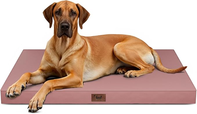 Jumbo Waterproof Orthopedic Dog Bed for Extra Large Dogs | Egg Crate Foam, Pressure Relief, Fits 54x37 Crates, Machine Washable 1680D Oxford Cover, Indoor & Outdoor Use, Up to 150 lbs by TailStories