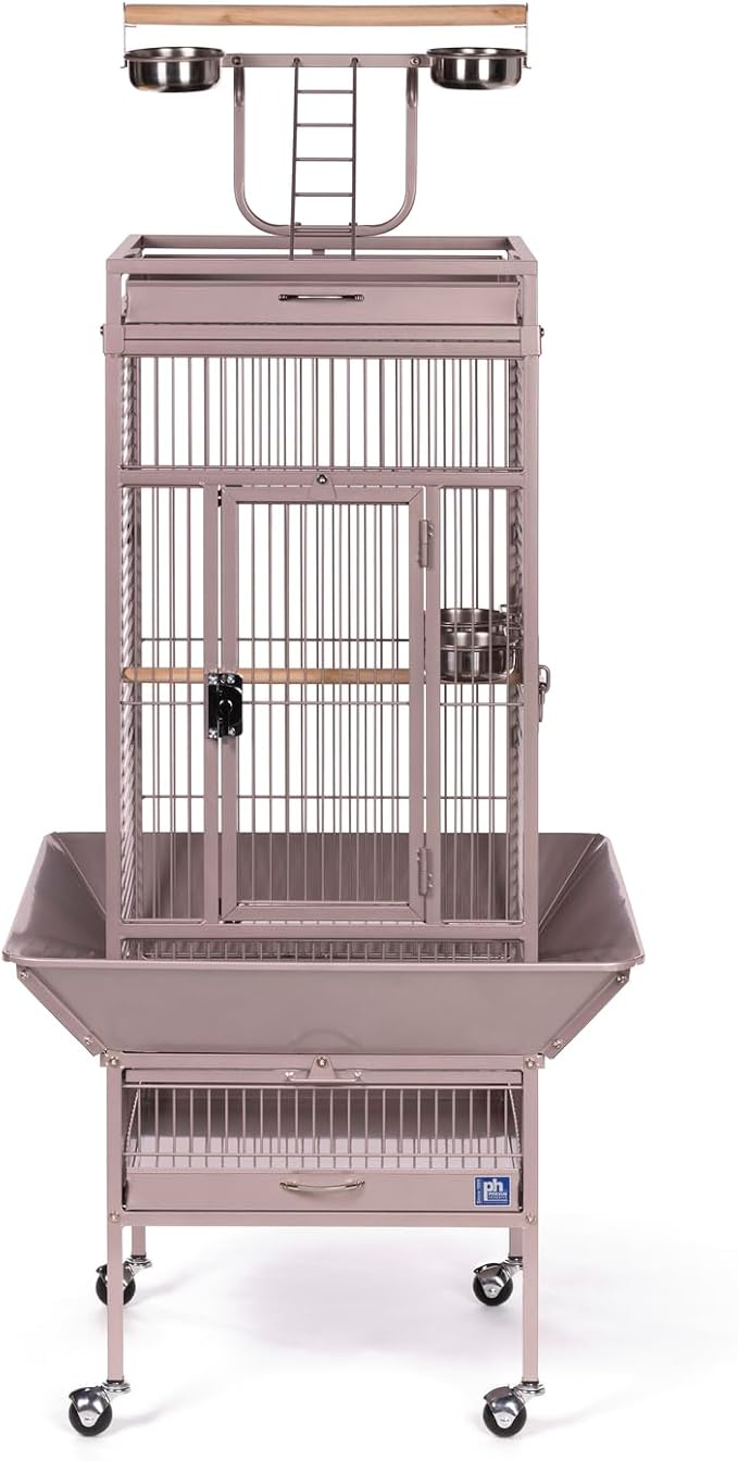 Prevue Pet Playtop Bird Cage - Medium Steel Bird Cage with Integrated Playtop, Rolling Stand, Seed Guards, and Perches, Ideal for Conures and Cockatiels - Blush Finish - Image 4
