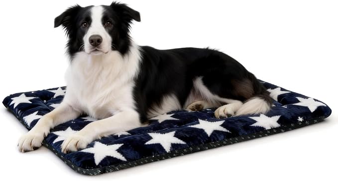 Washable Dog Bed Mat With Anti-Slip Bottom, Deluxe Plush Memory Foam Crate Pad & Waterproof Outdoor Kennel Mat For Dogs & Cats-Durable Crates Beds, Large Medium Small Puppy Size 30" x 20",Blue by Unknown