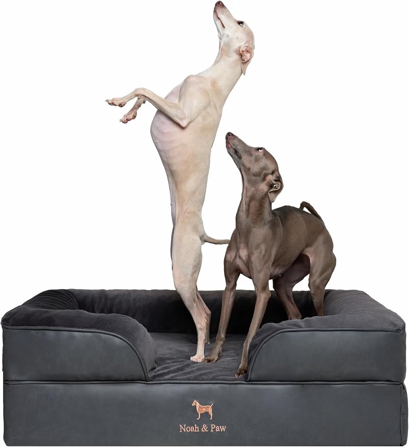 NOAH & PAW Large Dog Bed, 35x25x11 Inch, Orthopedic Dog Beds, Eggshell Memory Foam Infused with Cooling Gel, Inner Cover, Water Resistant, Machine Washable (Faux Leather) by NoahPaw