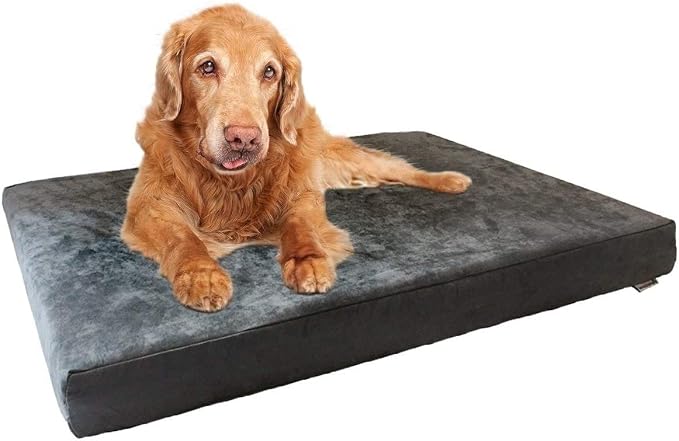 Dogbed4less Orthopedic Gel Memory Foam Pet Dog Bed, Waterproof Liner with External Microsuede Cover and Bonus Antislip Cover (Microsuede Gray, 55"X37"X4" Inches) by Dogbed4less