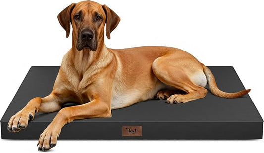 Jumbo Waterproof Orthopedic Dog Bed for Extra Large Dogs | Egg Crate Foam, Pressure Relief, Fits 54x37 Crates, Machine Washable 1680D Oxford Cover, Indoor & Outdoor Use, Up to 150 lbs by TailStories
