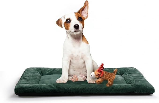 Dog Crate Pad Washable Dog Bed for Crate Medium Cozy Mat 30-Inch Green | Ultra Soft Kennel Pad,Anti-Slip Bottom,Fits for Most Metal Crates,Comfortable Sleeping Pet Mat by VERZEY