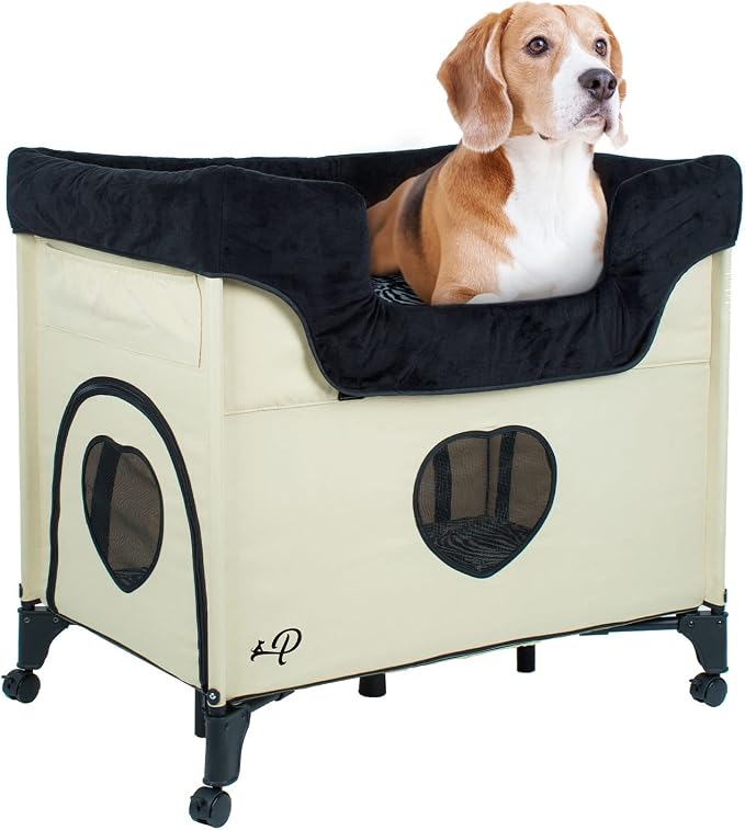 PETIQUE Bedside Lounge Pet Bed, Raised Bunk Bed for Medium Size Pets for Cats & Dogs, Zebra Vibes Design by Petique
