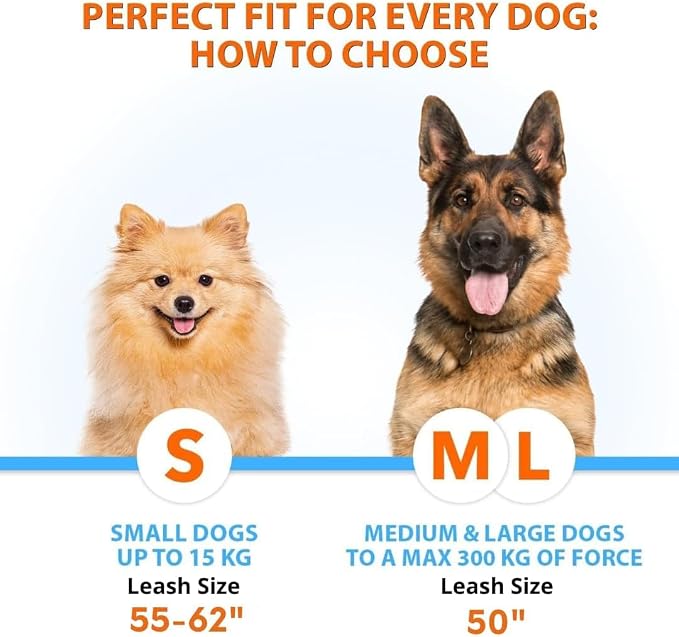 SparklyPets Hands Free Double Dog Leash – Dual Leash for Medium and Large Breeds – Lead for 2 Dogs with Padded Handles, Reflective Stitches, No Pull, Tangle Free - Image 3