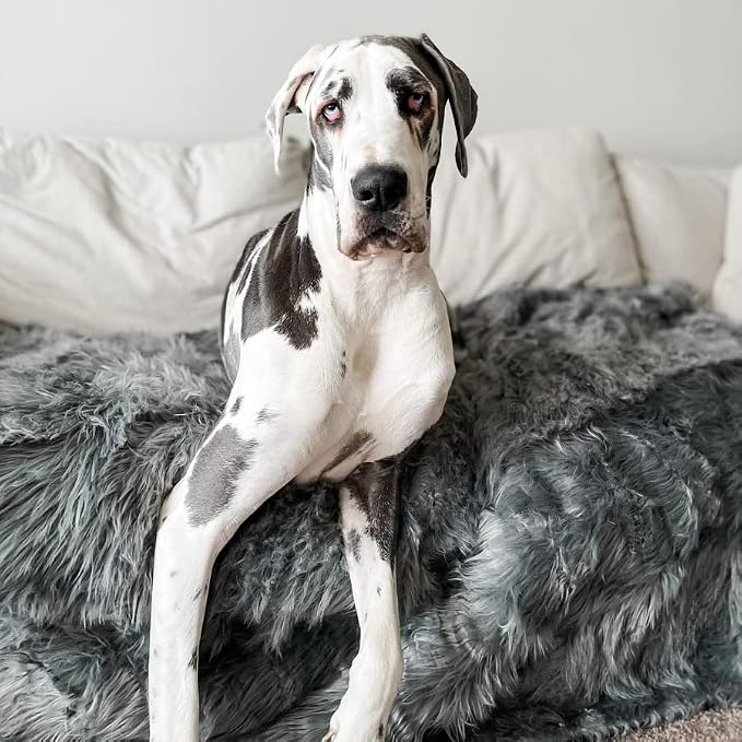 PAW BRANDS PupProtector Waterproof Throw Blanket, Charcoal Grey, 80x62 | Waterproof, machine washable — protects couches, beds & car seats - Image 5