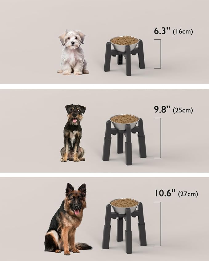 CZPET Dog Bowl Stand, 51 oz Large Capacity Stainless Steel Feeder (2 Pack) | Elevated Pet Water & Food Bowl for Medium Dogs, Stable and Anti-Slip Raised Bowl - Image 6