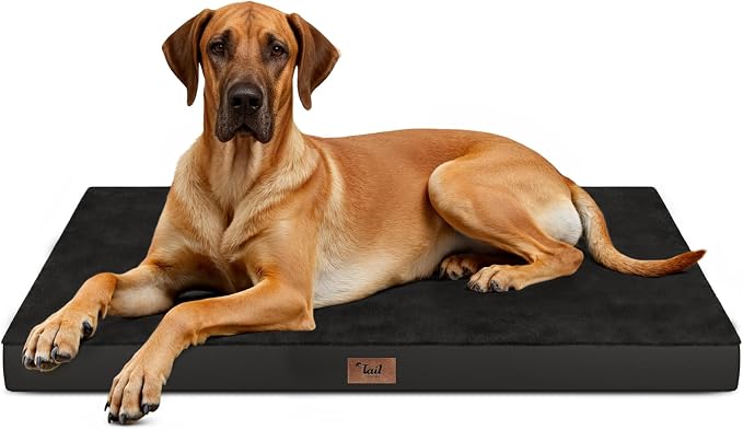 Jumbo Waterproof Orthopedic Dog Bed for Extra Large Dogs | Egg Crate Foam, Pressure Relief, Fits 54x37 Crates, Machine Washable 1680D Oxford Cover, Indoor & Outdoor Use, Up to 150 lbs by TailStories