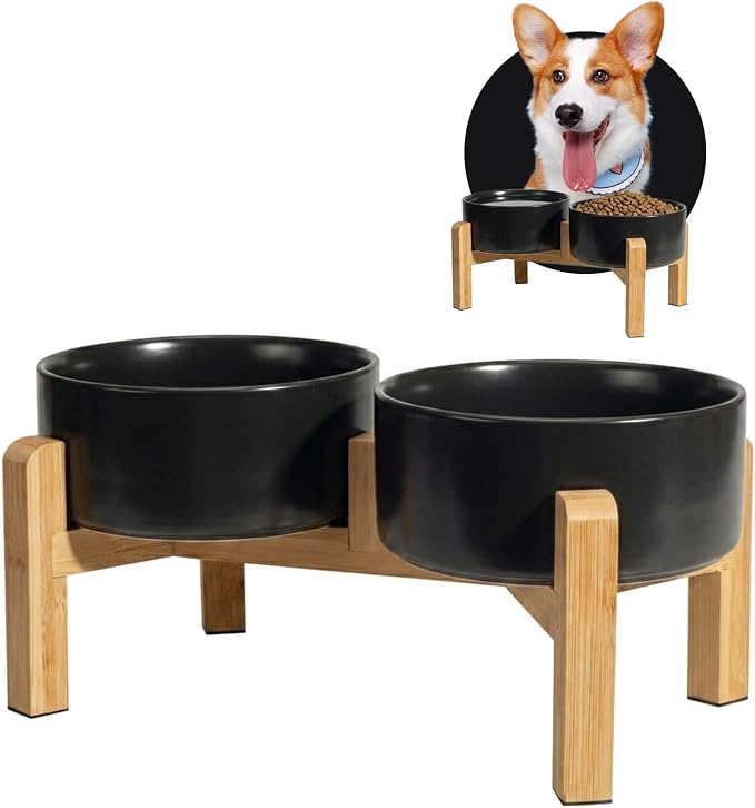 Elevated Ceramic Dog Bowl, 3.6 Cups Dog Food and Water Bowl Set with Stand | 6.1'' Double Dog Feeding Dishes, Non-Slip Raised Dog Feeder for Small and Medium Breeds, 28.74 OZ / 850 ML, White by PTOBER