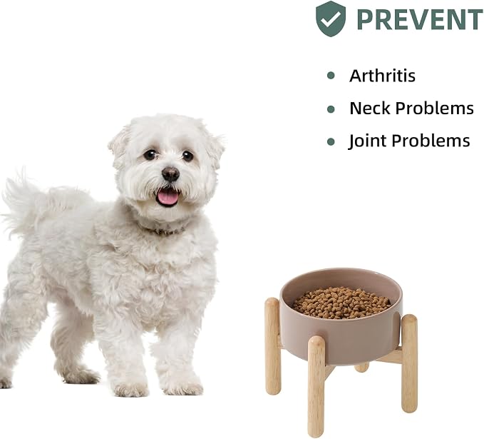 Havniva Elevated Dog Bowls Ceramic Dog Bowls with Stand, Dog Food Bowl | 6.1” Raised Dog Bowls with Non-Slip Wood Stand, Dog Food and Water Bowl Set, Dog Feeding Bowls for Small & Medium Dogs - Image 4