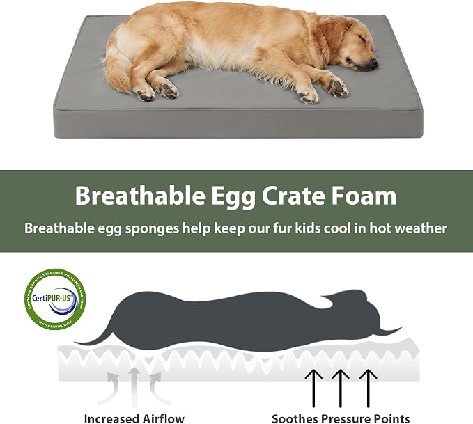 WNPETHOME Outdoor Waterproof Dog Bed Large Sized, Washable Creat Pad 42" | Outdoor & Indoor Use, For Large Sized Dog, Removable Washable Cover, Egg Crate Foam Orthopedic Dog Mat, Up to 90 lbs - Image 5