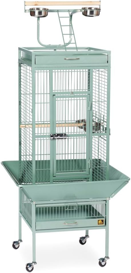 Prevue Pet Products Wrought Iron Select Bird Cage - Steel Cage with Rolling Stand and Seed Guards, Durable Design, Ideal for Cockatiels and Medium Birds - Sage Green by PrevuePetProducts