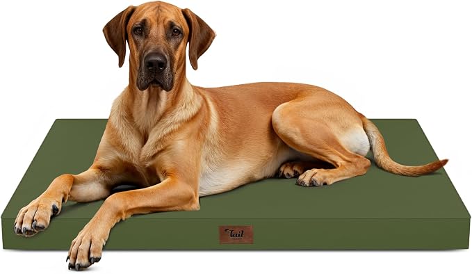 Jumbo Waterproof Orthopedic Dog Bed for Extra Large Dogs | Egg Crate Foam, Pressure Relief, Fits 54x37 Crates, Machine Washable 1680D Oxford Cover, Indoor & Outdoor Use, Up to 150 lbs by TailStories