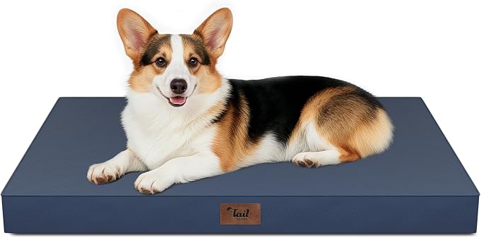 Outdoor Waterproof Orthopedic Dog Bed for Large Dogs | Egg Crate Foam for Joint Support, TPU Waterproof Layer, Machine Washable 1680D Oxford Cover, 36 x 27 Inch, Up to 65 lbs by TailStories