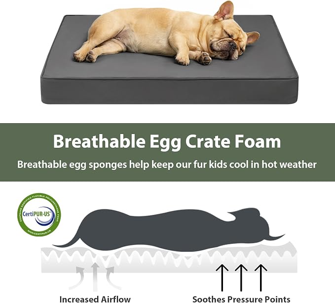 WNPETHOME Outdoor Waterproof Dog Bed Large Sized, Washable Creat Pad 30" | Outdoor & Indoor Use, For Large Sized Dog, Removable Washable Cover, Egg Crate Foam Orthopedic Dog Mat, Up to 35 lbs - Image 5
