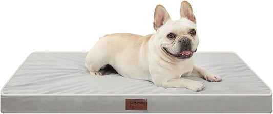 Light Grey 30''x20''x3 Small M Orthopedic Dog Bed | Soft, Waterproof, Egg Foam, Pet Crate Beds Mat, Kennel Pads, Removable Washable Cover,Non-Slip Bottom,Anti-slip oxford fabric by YIZHUOPET