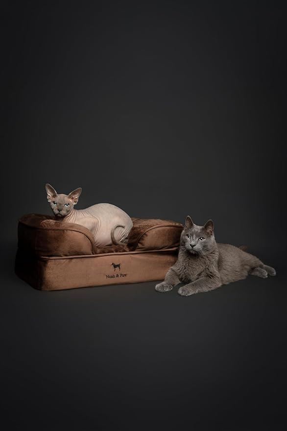 NOAH & PAW Small Dog Bed, 20x15x8 Inch, Cat Bed for Indoor Cats, Orthopedic Eggshell Memory Foam Infused with Cooling Gel, Water Resistant Inner Cover Machine Washable (Velvet Collection) - Image 2