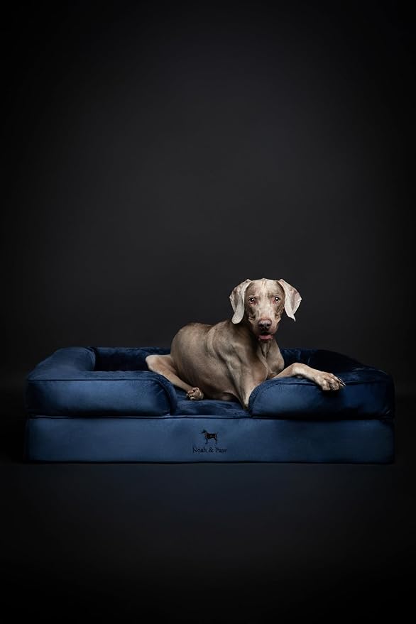 NOAH & PAW XL Dog Bed, 45x35x11 Inch, Orthopedic Large Dog Beds, Eggshell Memory Foam Infused with Cooling Gel, Inner Cover, Water Resistant, Machine Washable (Velvet Sofa Collection) - Image 3