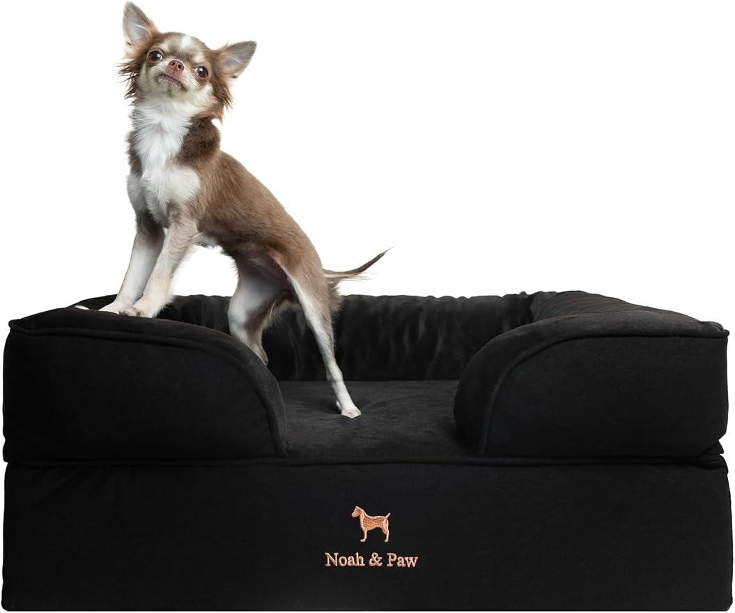 NOAH & PAW Dog Bed, 28x23x11 Inch, Orthopedic Dog Beds for Medium Size Pets, Eggshell Memory Foam Infused with Cooling Gel, Inner Cover, Water Resistant, Machine Washable (Denim Sofa Collection) by NoahPaw