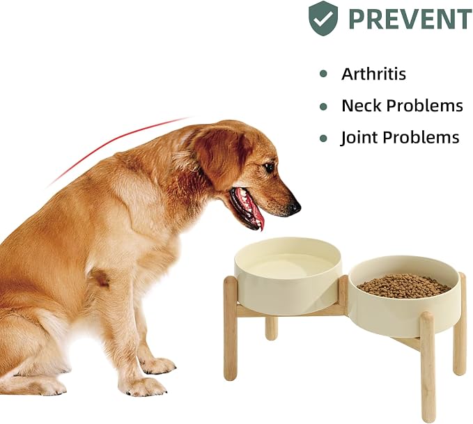 Havniva Elevated Dog Bowls Ceramic Dog Bowls with Stand, Dog Food Bowl | 8.3” Raised Dog Bowls with Non-Slip Wood Stand, Dog Food and Water Bowl Set, Double Dog Feeding Bowls for Large Dogs - Image 5