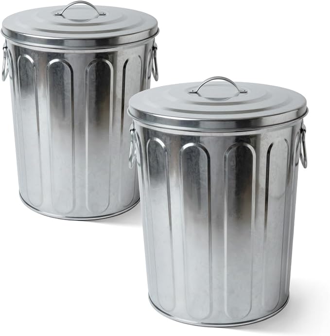 Plexon 5 Gallon Small Metal Trash Can with Lid Outdoor Galvanized Bucket with Lid 5 Gal Fireplace Ash Bucket for Wood Stove Storage Can for Dog Food Bird Seed Storage Container 2 Pack by Plexon