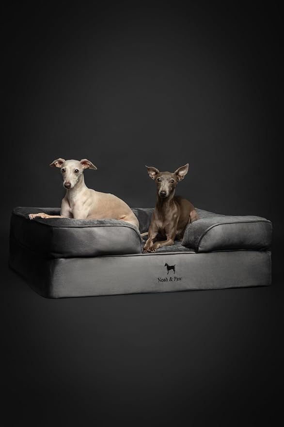 NOAH & PAW Large Dog Bed, 35x25x11 Inch, Orthopedic Dog Beds, Eggshell Memory Foam Infused with Cooling Gel, Inner Cover, Water Resistant, Machine Washable (Velvet Sofa Collection) - Image 8