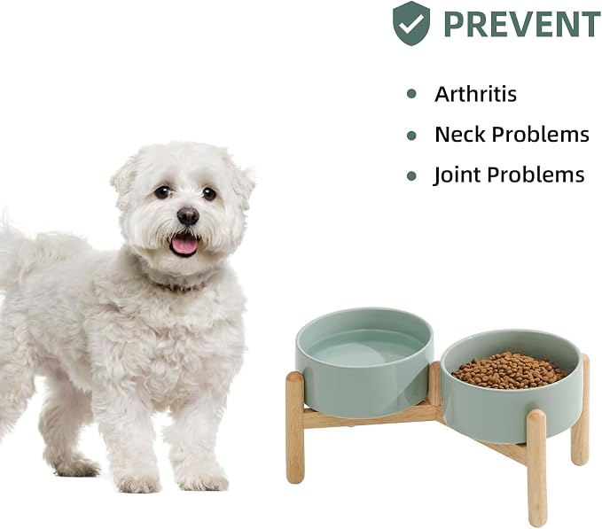 Havniva Elevated Dog Bowls Ceramic Dog Bowls with Stand, Dog Food Bowl | 6.1” Raised Dog Bowls with Non-Slip Wood Stand, Dog Food and Water Bowl Set, Double Dog Feeding Bowls for Small & Medium Dogs - Image 5