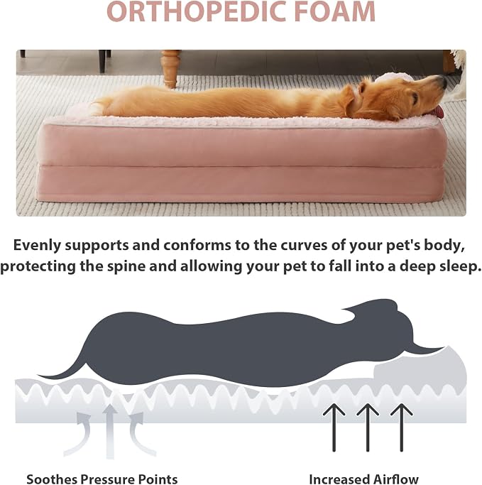 BFPETHOME Orthopedic Washable Dog Bed, Sleeping Couch for Large Senior Dogs | 30x20 Inch Deluxe Plush Rose Velvet Washable Cover, Egg Crate Foam Support, Waterproof Lining, Non-Slip Bottom, Pink - Image 3