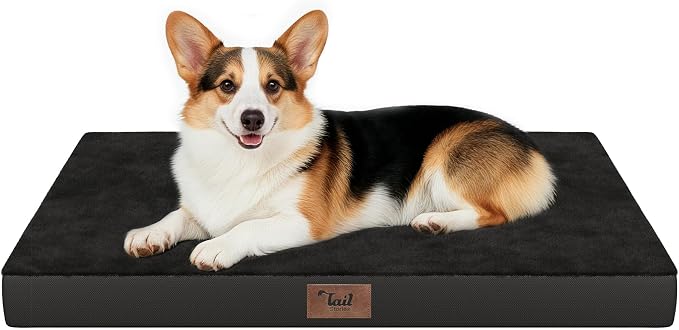 Outdoor Waterproof Orthopedic Dog Bed for Large Dogs | Egg Crate Foam for Joint Support, TPU Waterproof Layer, Machine Washable 1680D Oxford Cover, 36 x 27 Inch, Up to 65 lbs by TailStories