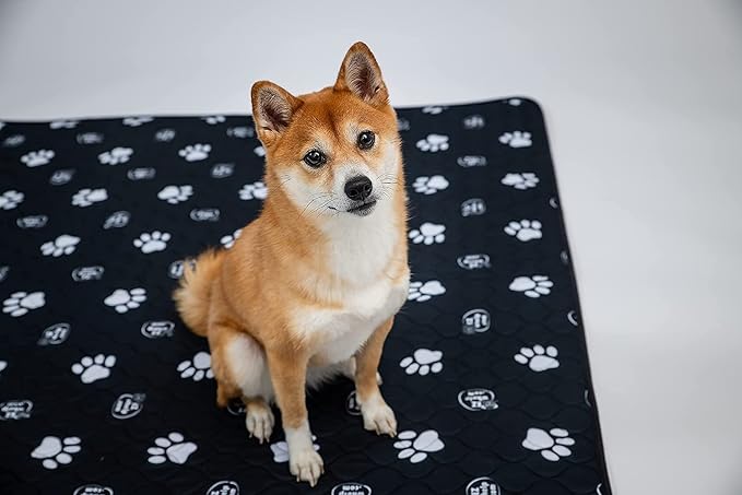 EZwhelp Reusable Dog Pee Pads, Washable Waterproof Mats for Dog Potty Training or Whelping Pads, 48x60 Inch, 2 Pack - Image 7