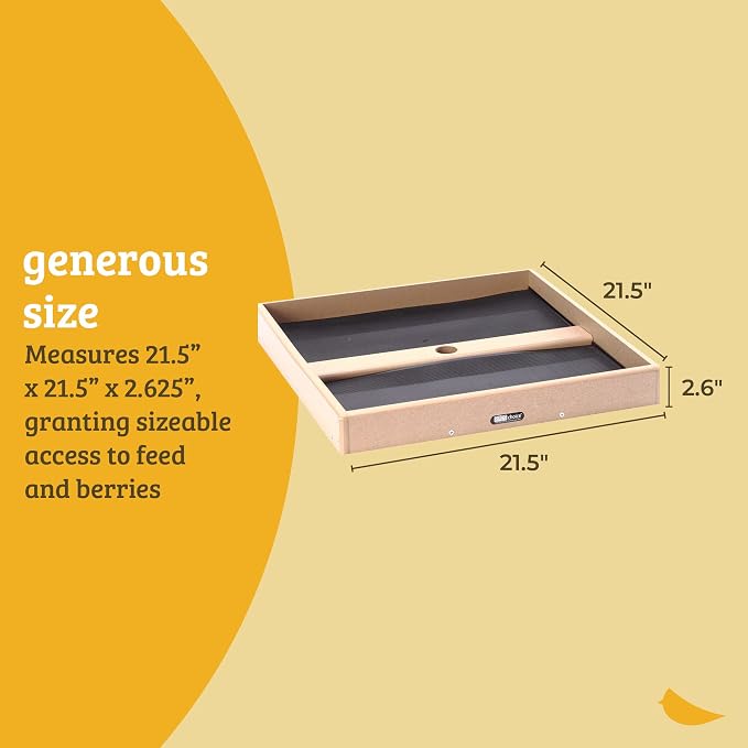 Birds Choice 21-1/2X21-1/2 Seed Catcher Open Platform | Pole Mount Tray Catches Fallen Seed to Reduce Ground Waste, Recycled Plastic Construction - Image 6