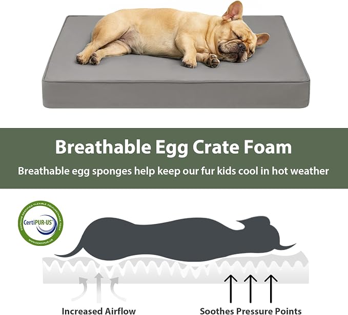 WNPETHOME Outdoor Waterproof Dog Bed Large Sized, Washable Creat Pad 30" | Outdoor & Indoor Use, For Large Sized Dog, Removable Washable Cover, Egg Crate Foam Orthopedic Dog Mat, Up to 35 lbs - Image 5